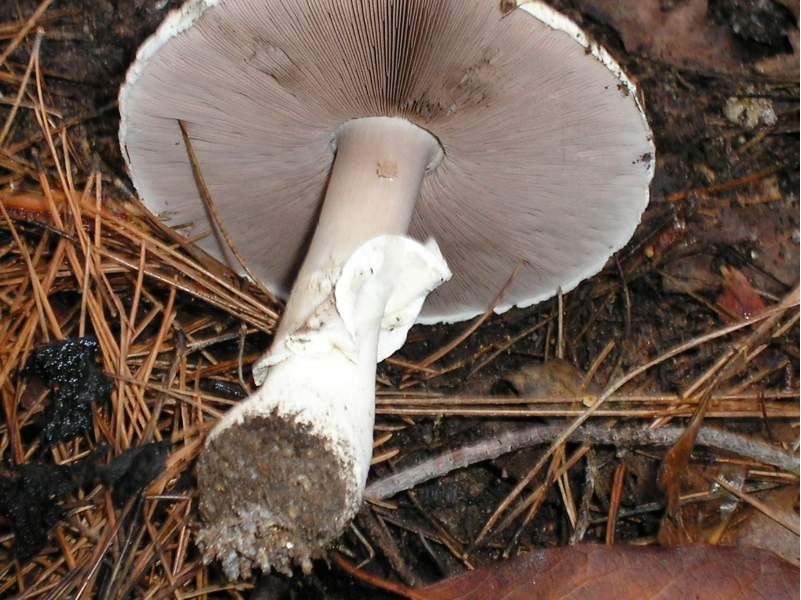 ....il seguito di domenica 2